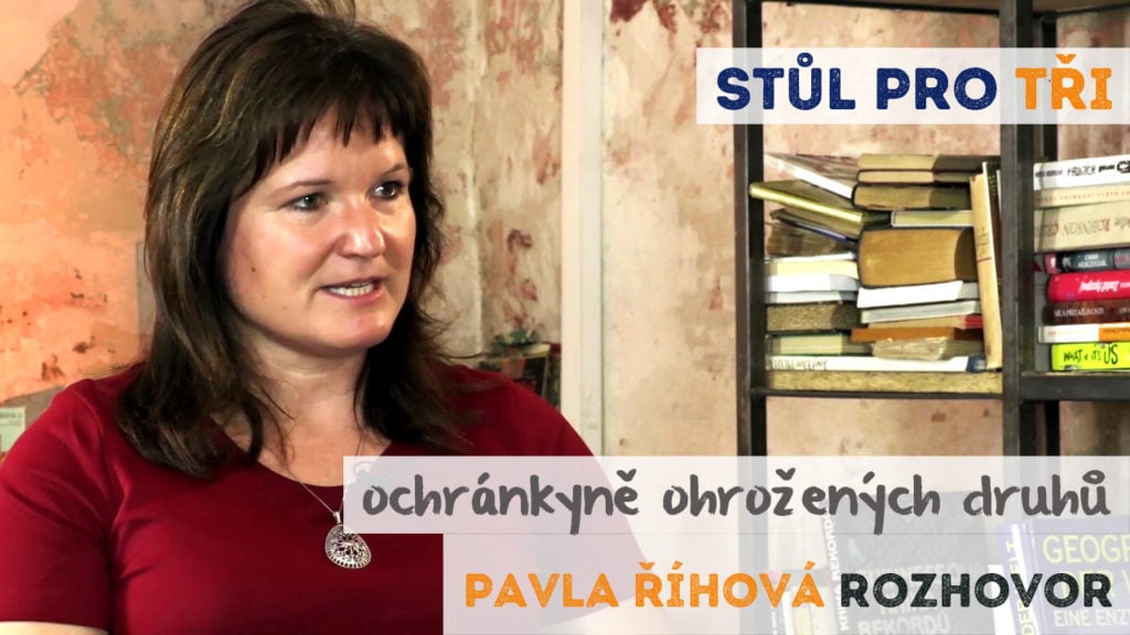 Pavla Říhová pašeráci rozhovor