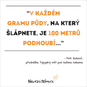 Petr Kohout citáty 2